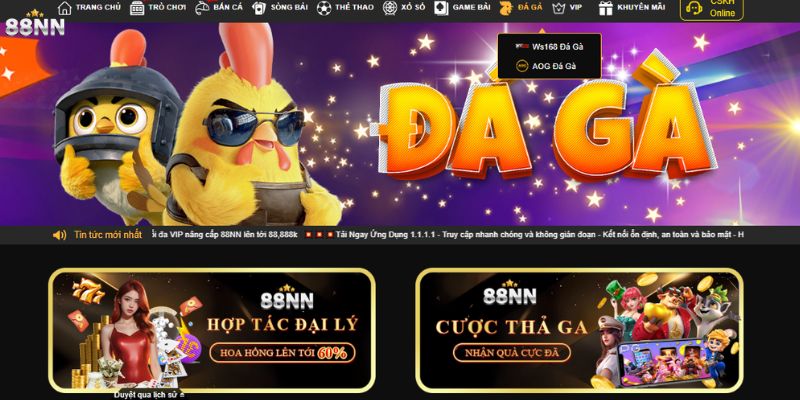 Đôi nét về đá gà 88nn